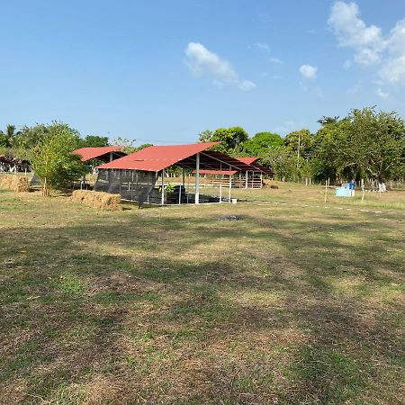 Hotel - Granja De Animales San Basilio De Palenque San Basilio del Palenque Exterior photo