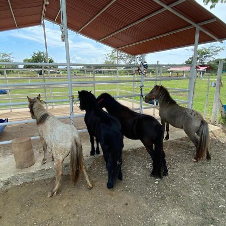 Hotel - Granja De Animales San Basilio De Palenque San Basilio del Palenque Exterior photo