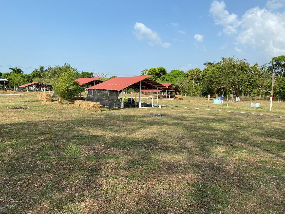 Hotel - Granja De Animales San Basilio De Palenque San Basilio del Palenque Exterior photo