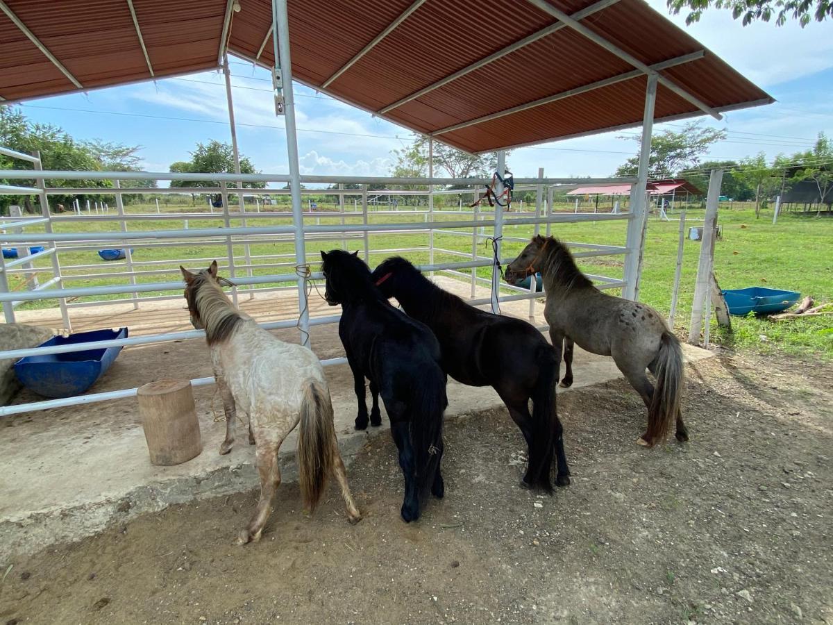 Hotel - Granja De Animales San Basilio De Palenque San Basilio del Palenque Exterior photo